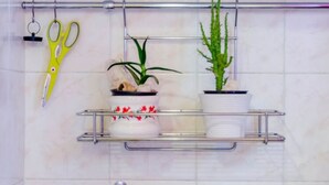 Un baño con una repisa que sostiene una planta en maceta, un cuenco decorativo y un par de tijeras.