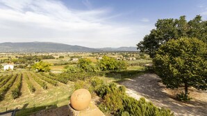 A vineyard with rows of grapevines, a stone wall, and a view of distant hills and a town. - Classic Villa for Family With Pets (Bevagna)