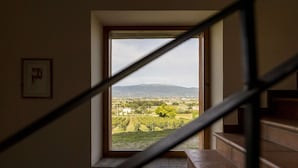 A staircase leading to a window with a view of a vineyard and distant hills. - Classic Villa for Family With Pets (Bevagna)