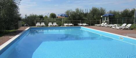 A rectangular swimming pool with clear blue water, surrounded by white lounge chairs and umbrellas.