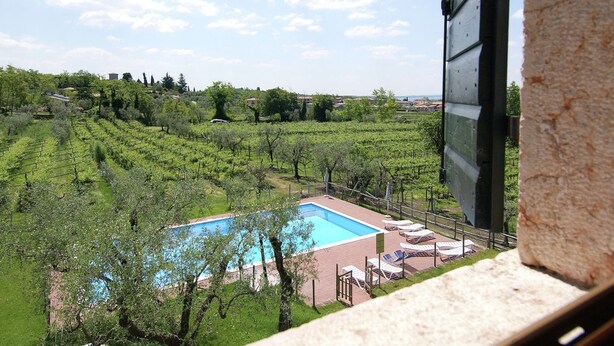 Vista d'una vinya amb una piscina i gandules.