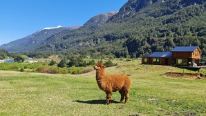 Panoramic House, River View, Mountainside | Terrace/patio - Confluencia  Rio emperador (Aysén)