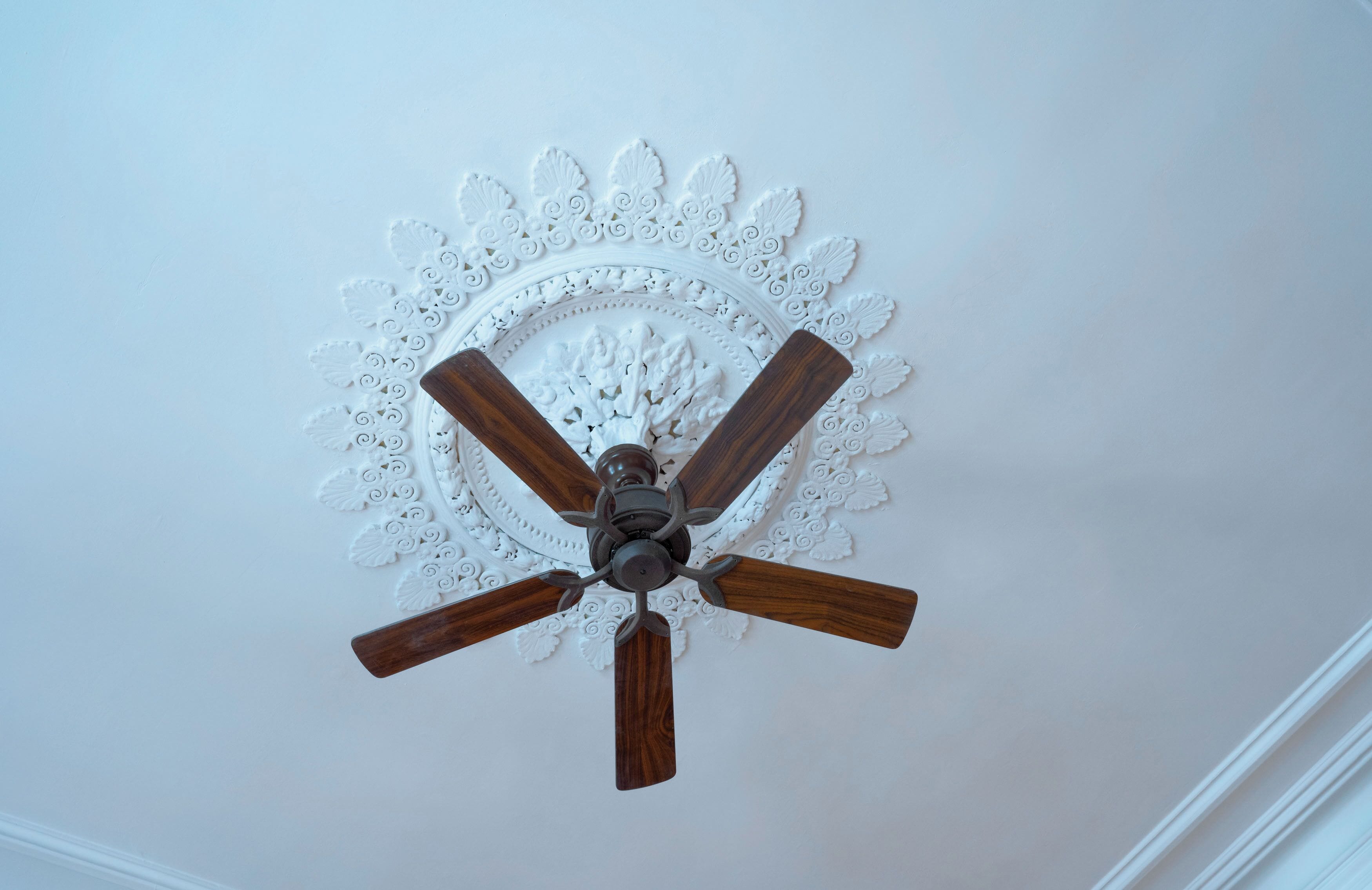 Foto - Domicil Hotel Bonn