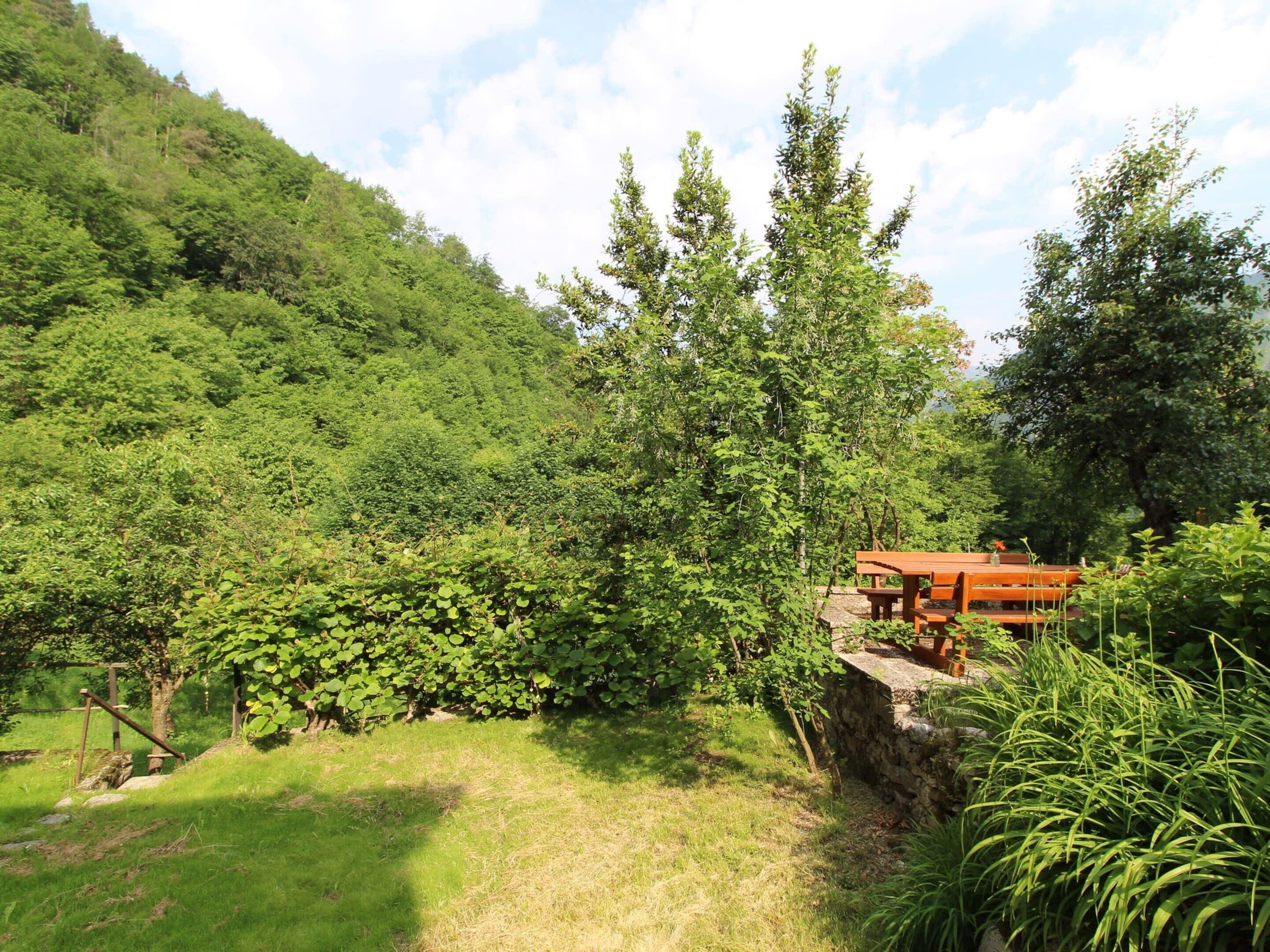 Un paisaje verde exuberante con un banco de piedra y una mesa de picnic al frente.
