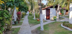 Un sendero en un jardín que lleva a un edificio blanco con puerta de madera, rodeado de abundante vegetación y palmeras.