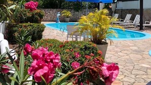 A pool area with a blue umbrella, palm trees, and various plants. - Pousada das Oliveiras (Ipojuca)