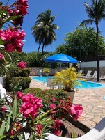 2 piscinas al aire libre, tumbonas