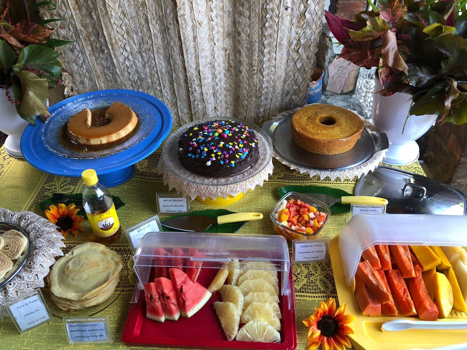 A table with various desserts and fruits, including cakes, a chocolate cake with sprinkles, and a fruit salad.