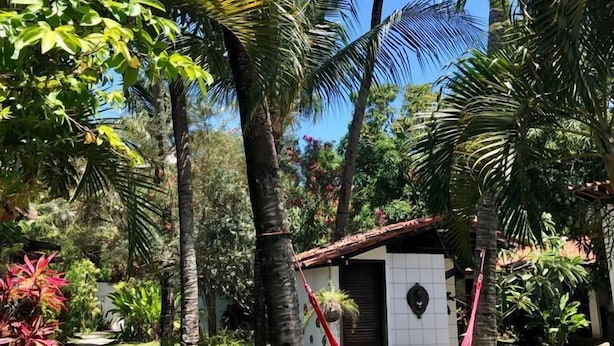 A garden with palm trees, a hammock, and a small white building with a door and window. - Pousada das Oliveiras (Ipojuca)
