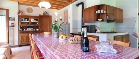 House | Private kitchen | High chair