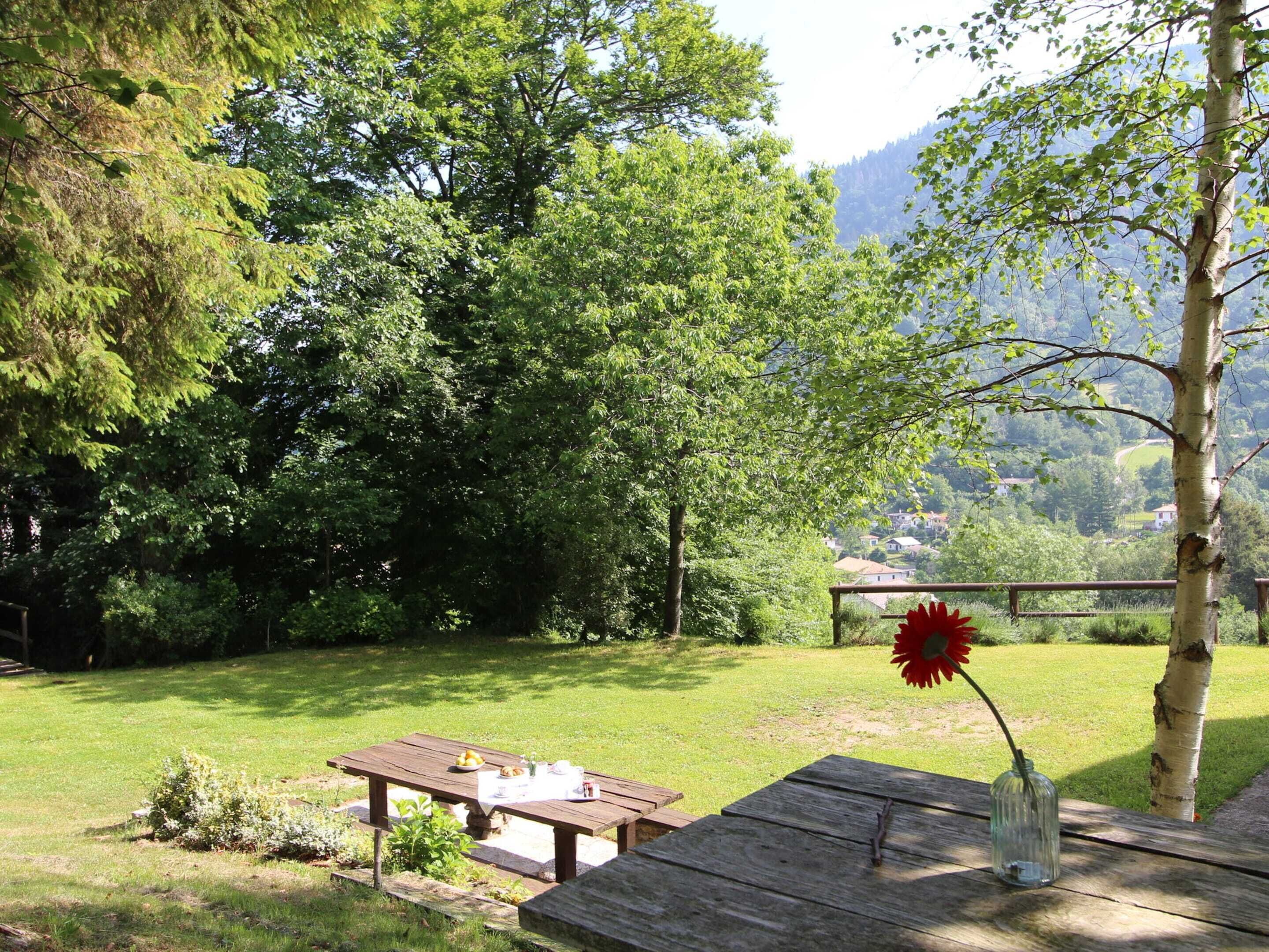 Une table de pique-nique ornée d’un vase de fleurs, entourée d’une végétation luxuriante et offrant une vue sur une montagne.