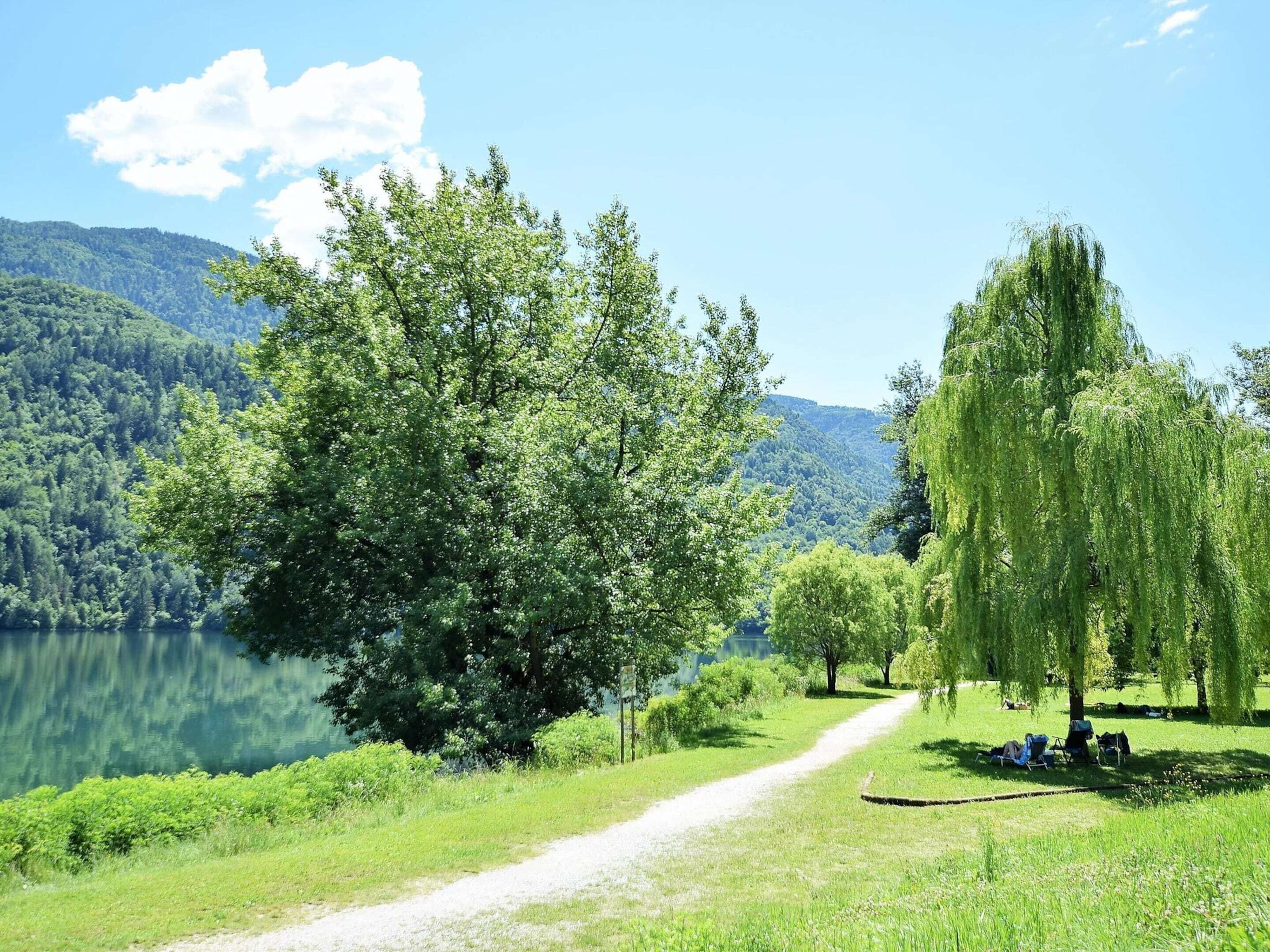 A serene lakeside path with lush greenery and trees, leading to a calm lake surrounded by hills.