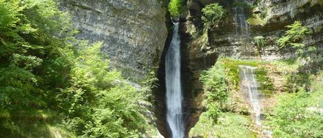 A waterfall cascading down a rocky cliff surrounded by lush greenery.