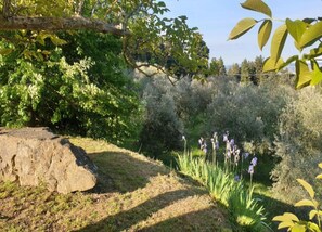 View from property - Charming Retreat in Montorsoli (Sesto Fiorentino)