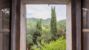 House | View from property