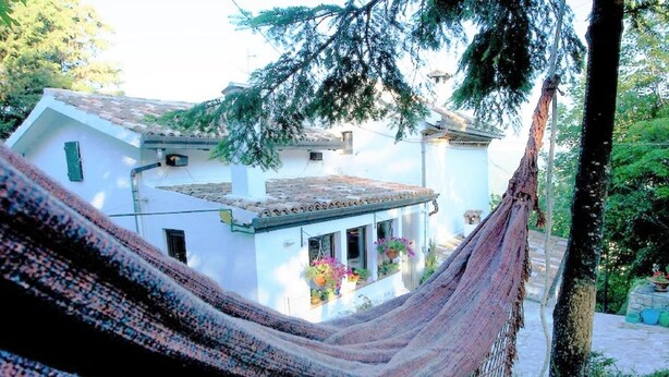 Una hamaca en un área verde exuberante, con un edificio blanco al fondo.