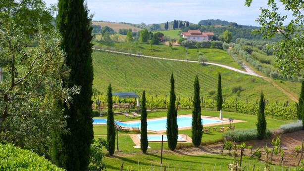 A vineyard with a swimming pool, surrounded by neatly trimmed hedges and tall trees. - Belvilla by OYO Giglio (Cerreto Guidi)