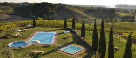 Un espace piscine comprenant deux piscines, entouré de pelouse et d’arbres, avec vue sur un vignoble.