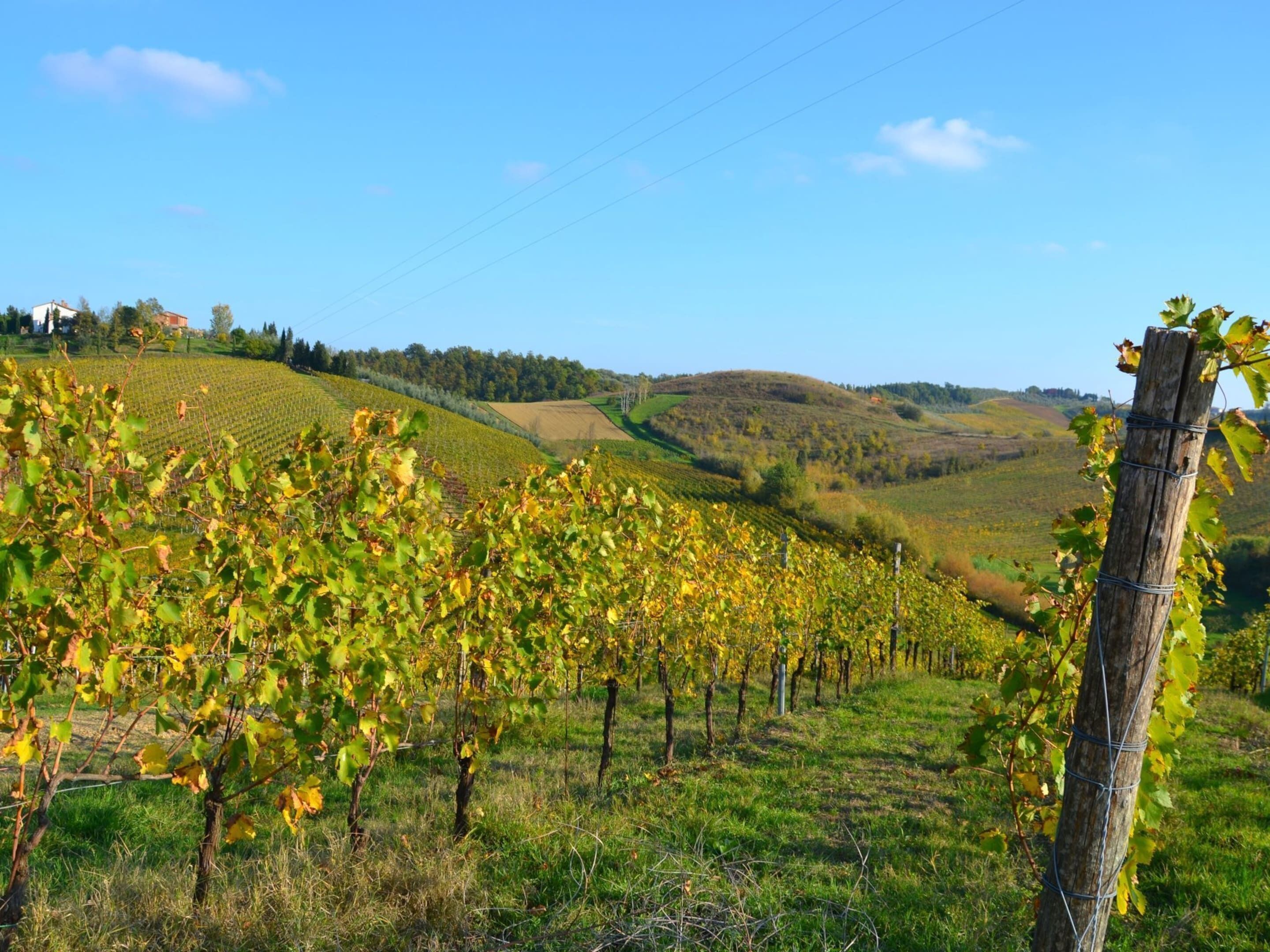 Vista dalla struttura