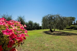 A well-maintained lawn with a tree and a flower bed with pink flowers. - Apartment in Castelfiorentino With Pool (Castelfiorentino)