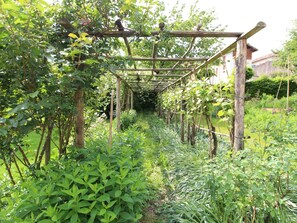 Ferienhaus | Aussenbereich