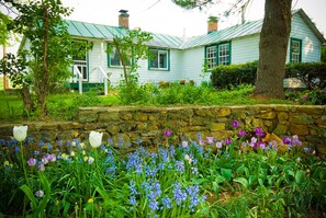 A white house with green trim and a stone wall in front. - Briar Patch Bed & Breakfast Inn (Middleburg)