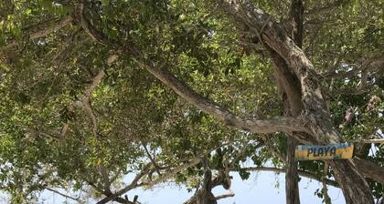 Private Beach front house