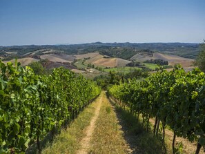 View from property - Farmhouse in Castelfiorentino With Pool (Castelfiorentino)