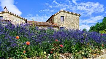 Ferienhaus | Außenbereich