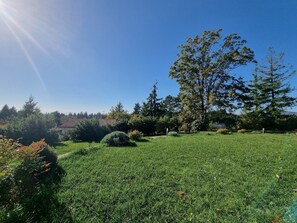 A grassy field with trees and a building in the background. - Chalet in Marliana Near Center (Marliana)