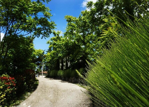 Un chemin de gravier bordé d’une végétation luxuriante et d’arbres, qui mène à un bâtiment doté d’un toit rouge.