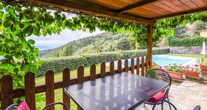 Cottage in Tuscany With Pool & Olive Groves