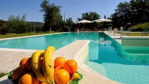 A swimming pool with lounge chairs and umbrellas, surrounded by greenery.