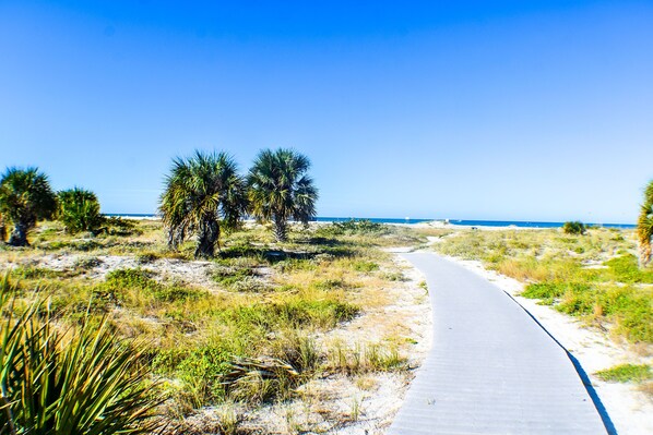 Beach
