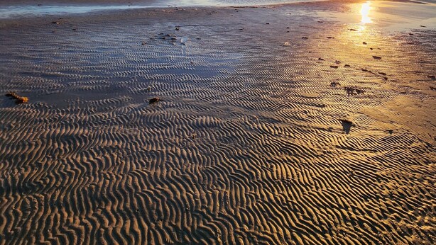 A beach with a sunset, sandy shore, and footprints. - Cozy Guest House on 15 acres, with plenty of parking! (Parsonsburg)