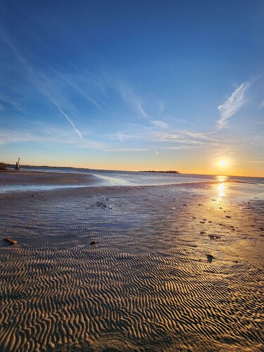 Cozy Guest House on 15 acres, with plenty of parking!