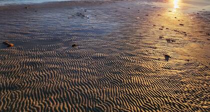 Cozy Guest House on 15 acres, with plenty of parking!