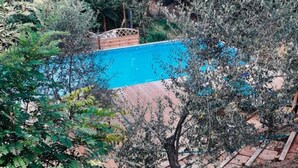 A swimming pool surrounded by lush greenery and a wooden deck. - Farmhouse in Tuscany With Pool & Near Montecastello (Pontedera)