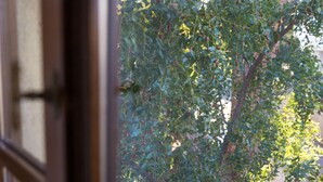 A view through a window with a tree outside. - Farmhouse in Tuscany With Pool & Near Montecastello (Pontedera)