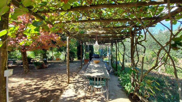 Une terrasse extérieure couverte, dotée d’une table et de chaises, et entourée de verdure et d’arbres.