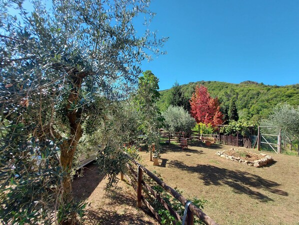 House | View from property