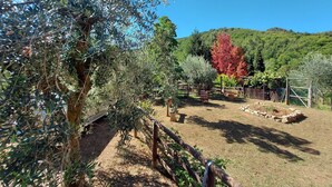 Un espace extérieur clos, agrémenté d’arbres et offrant une vue sur un ciel dégagé.
