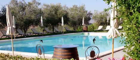 House | Pool | Outdoor pool