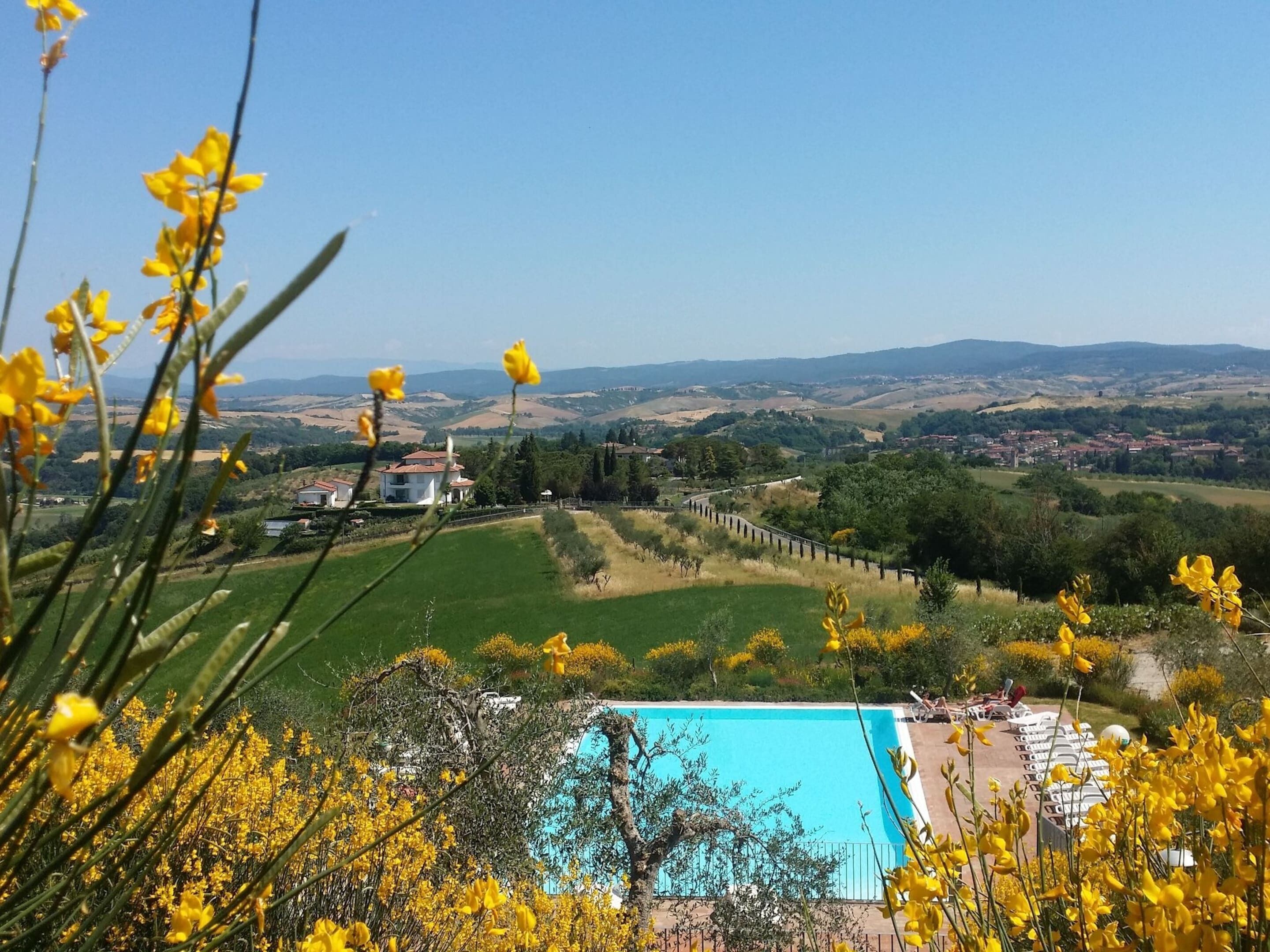 A pool surrounded by lush greenery and yellow flowers, with a view of distant hills and a small village.