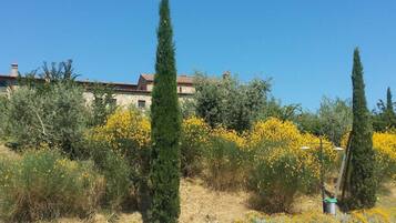 Apartment | Aussenbereich