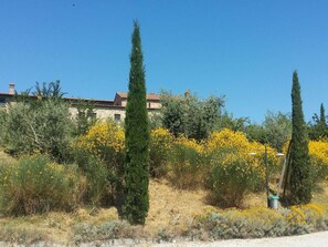 Surrounded by lush vegetation, this charming building boasts a traditional Mediterranean design with a flat roof and chimney.