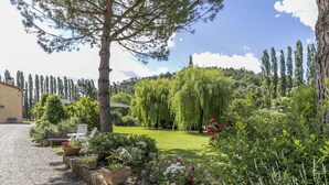 A garden with a gravel path, potted plants, and a bench. - Holiday Home Tuscany With Pool Access (Montopoli in Val d'Arno)