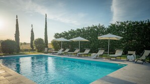 A swimming pool with lounge chairs and umbrellas, surrounded by trees and a clear sky. - Modern Vacation Home (Pienza)