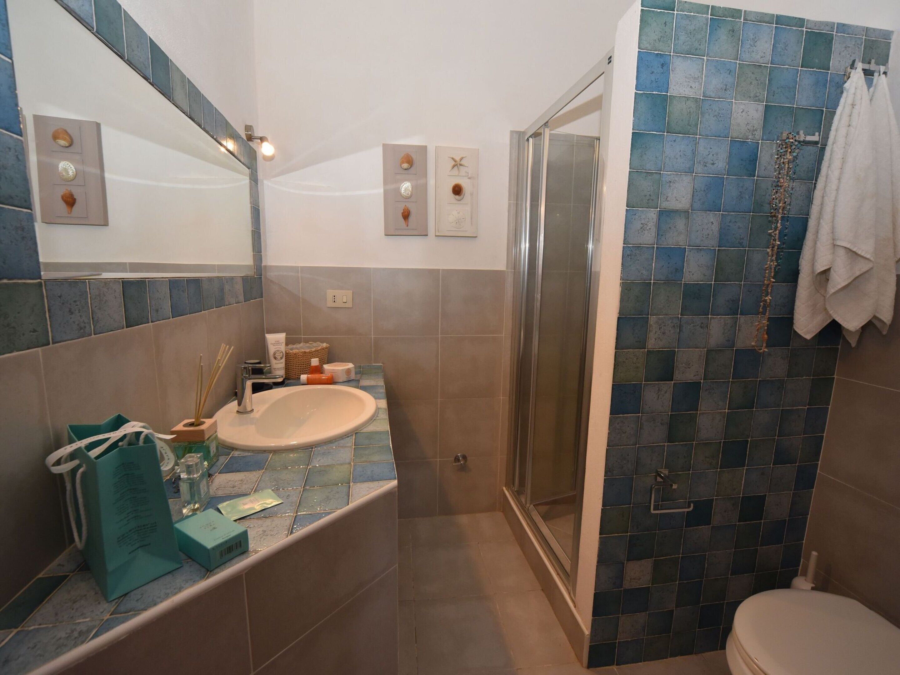 Une salle de bain avec un lavabo, un miroir, une douche et des murs carrelés.
