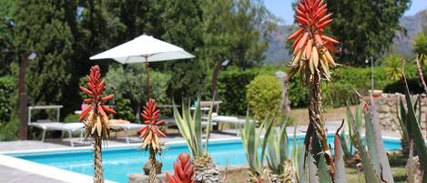 House | Pool | Indoor pool, outdoor pool